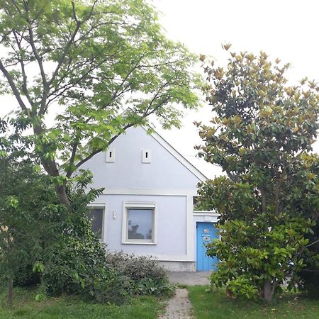 Alla Kittsee Eksteriør bilde